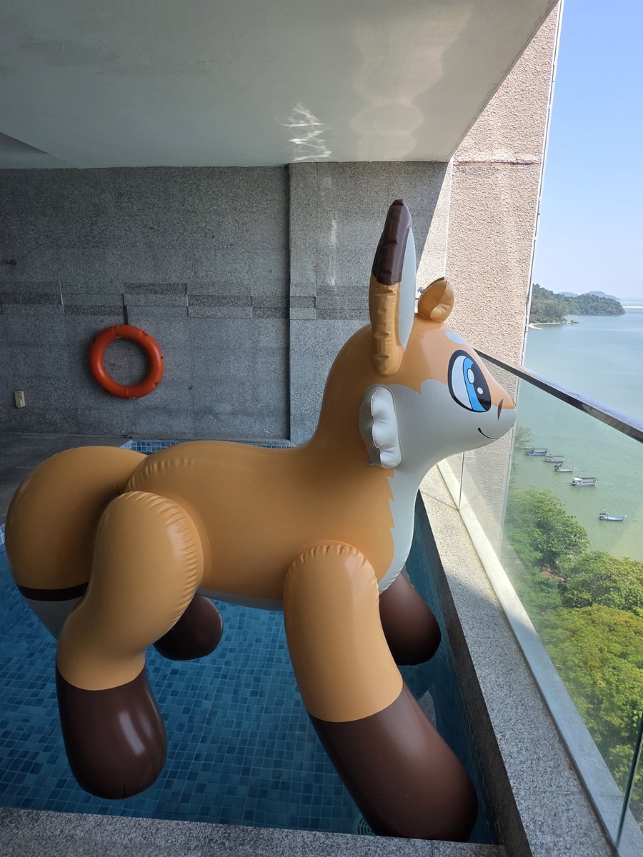 InflatablesAndPooltoys tweet media