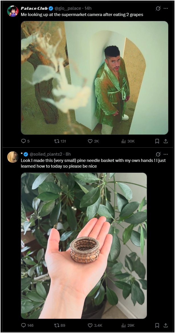 Bishop, Guardian of the Pattern 🇻🇪 🇵🇸 tweet media