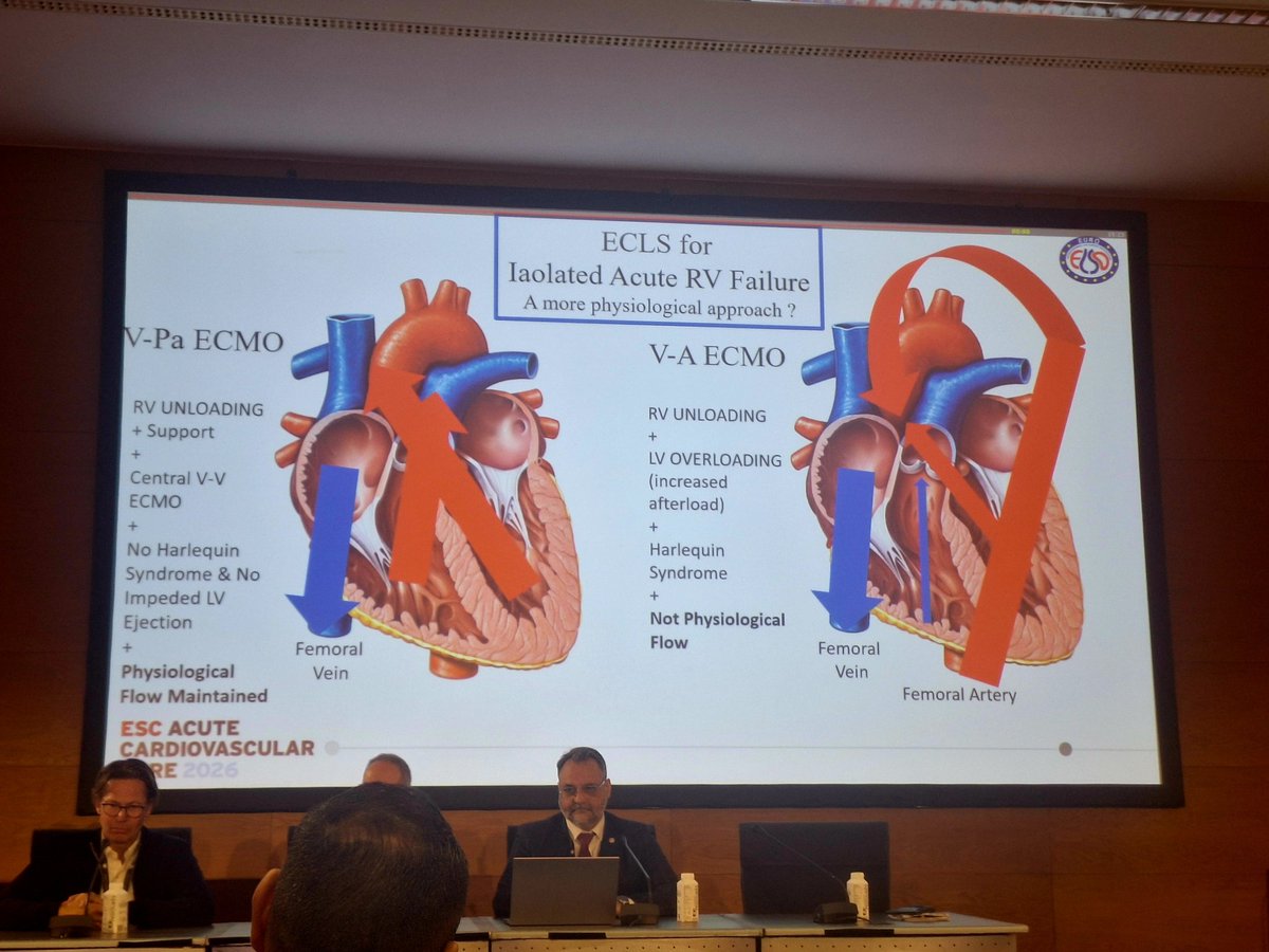 Anna Oleksiak, MD PhD tweet media