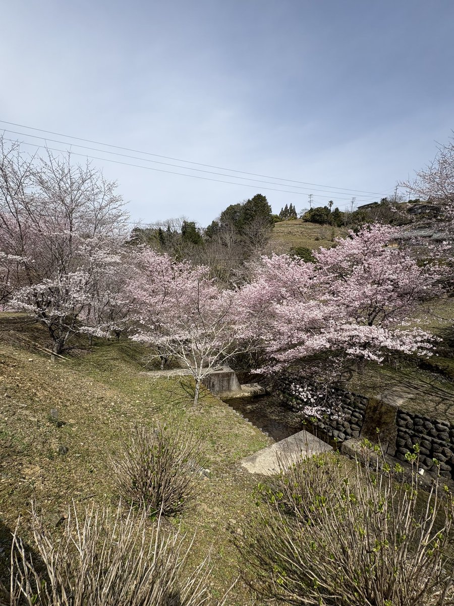 WEEKEND RIDER 週おじ【motovlog】 tweet media