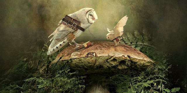 Rick Morgan tweet media