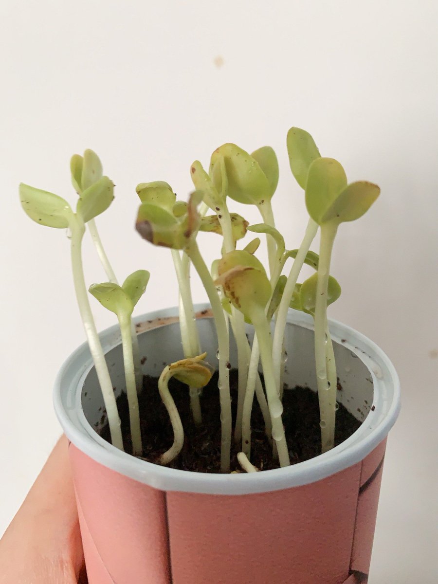 Erich Krueger tweet media