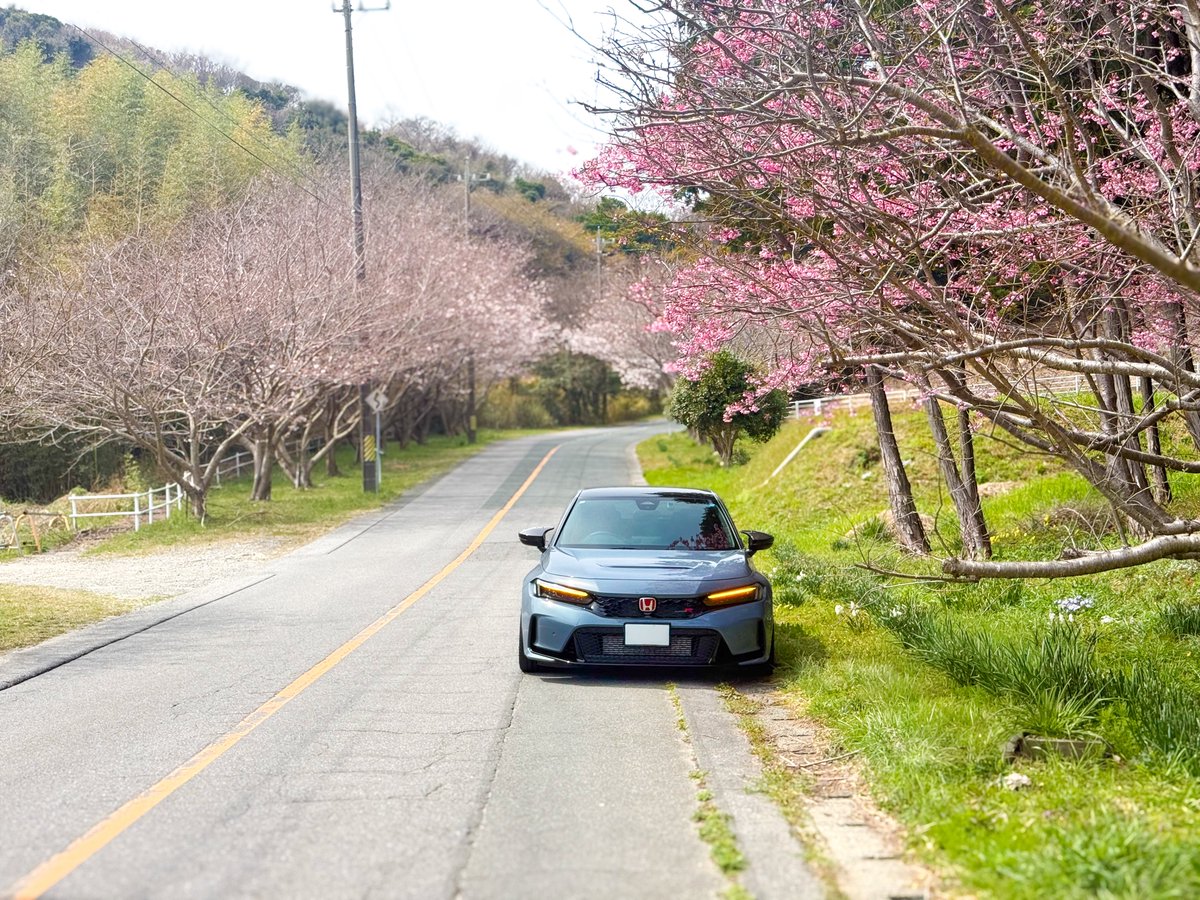 seafood Gmaster tweet media