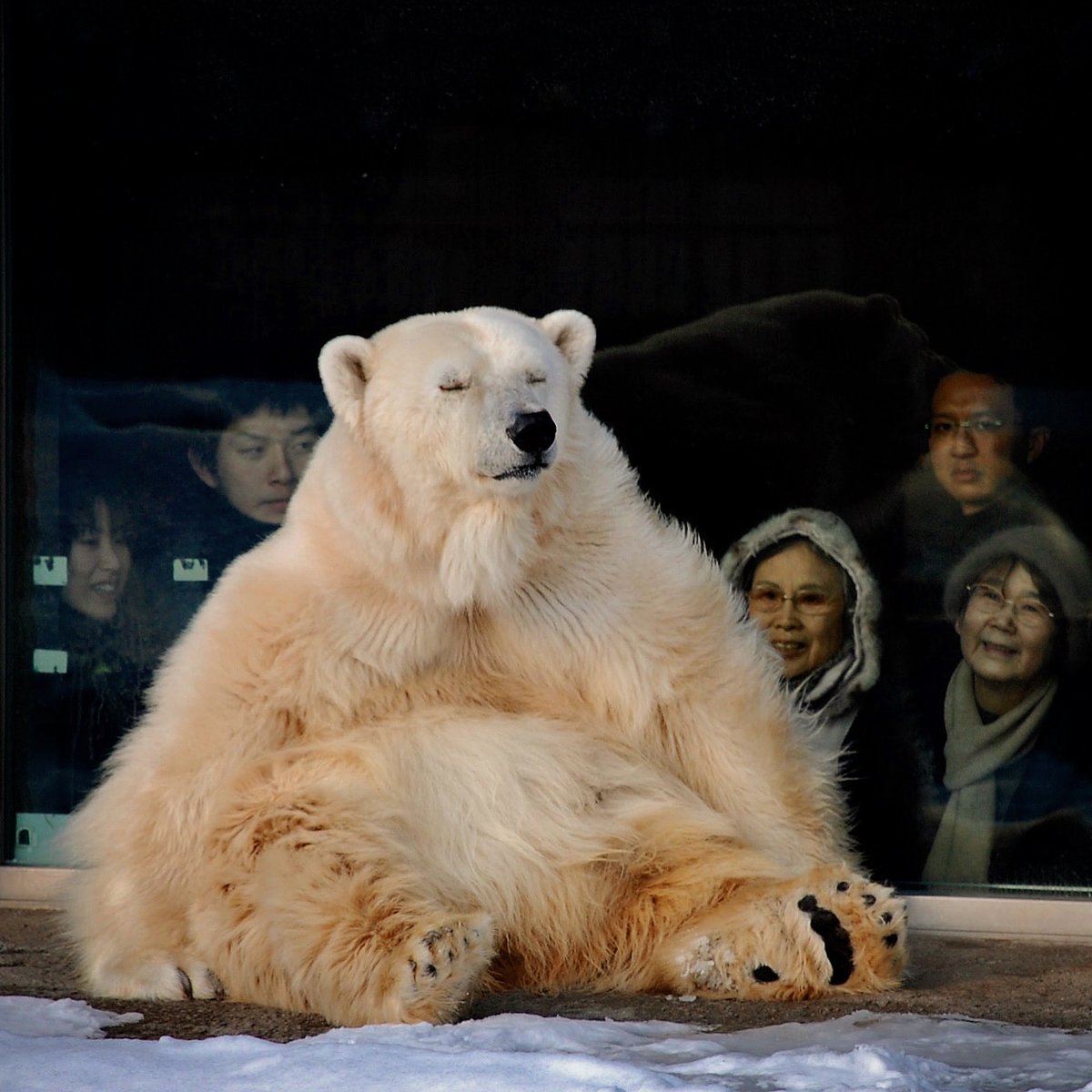 おやびん tweet media