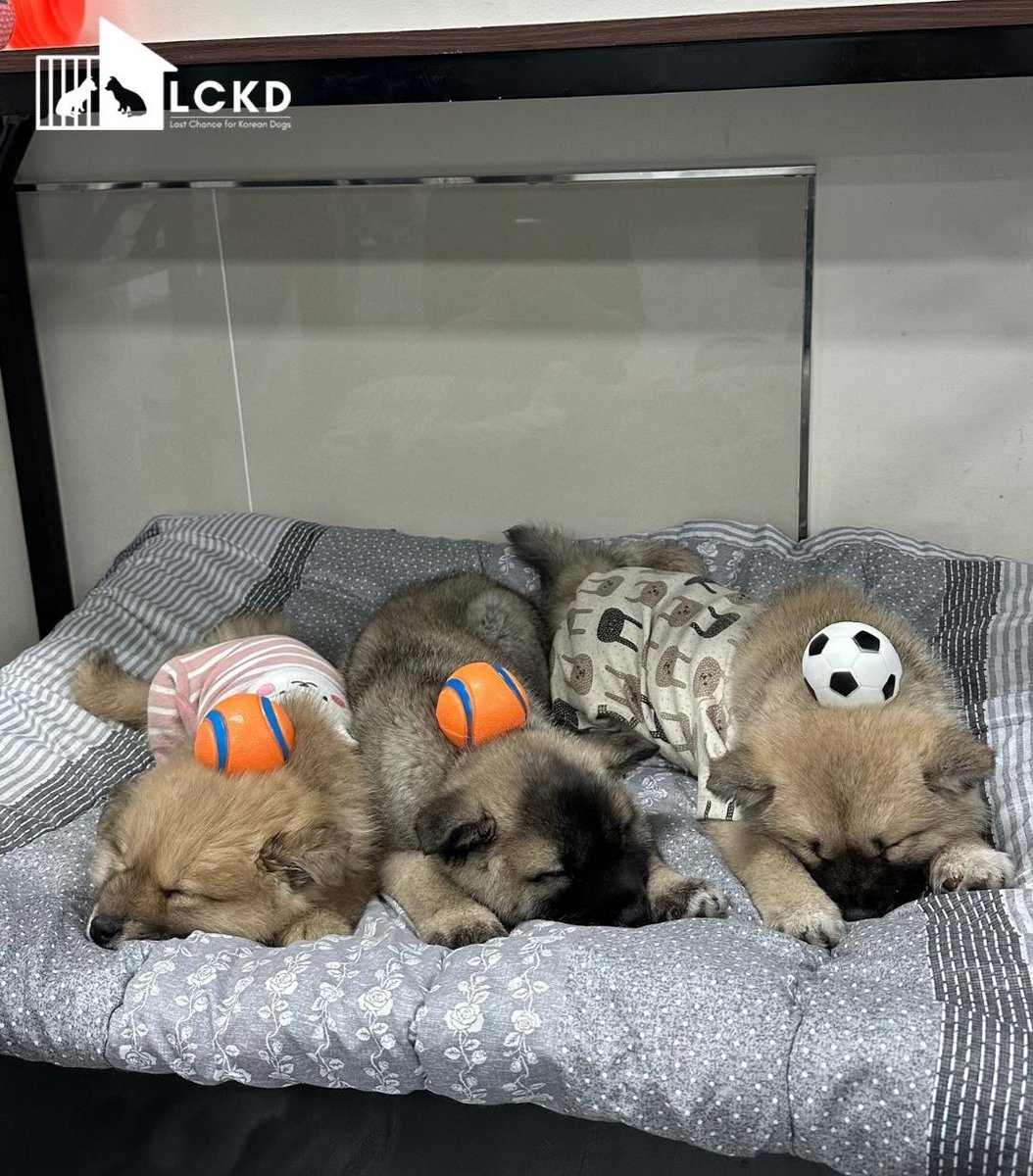 오늘의 포춘🥠 tweet media