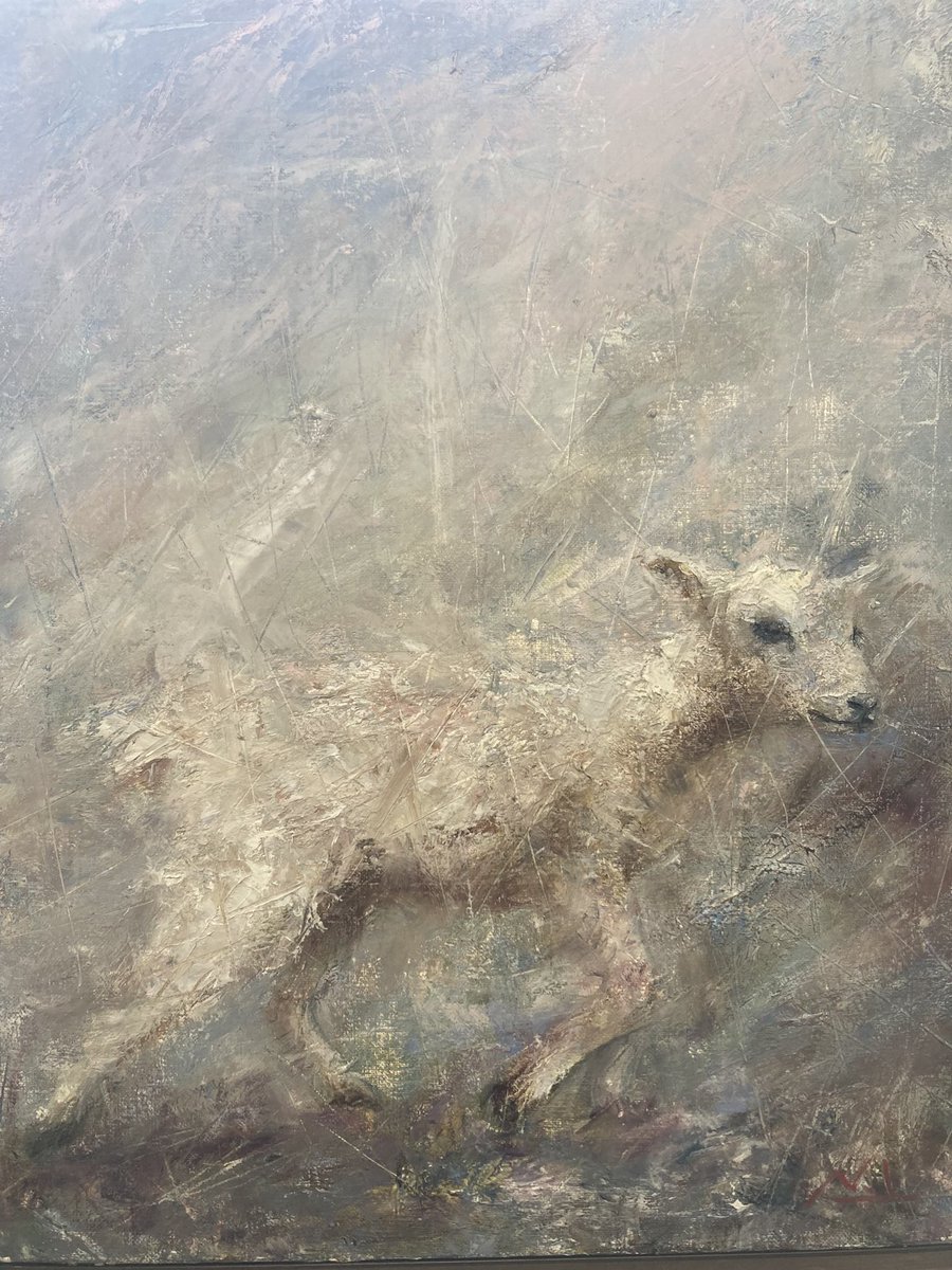 井上 直 Nao Inoue tweet media