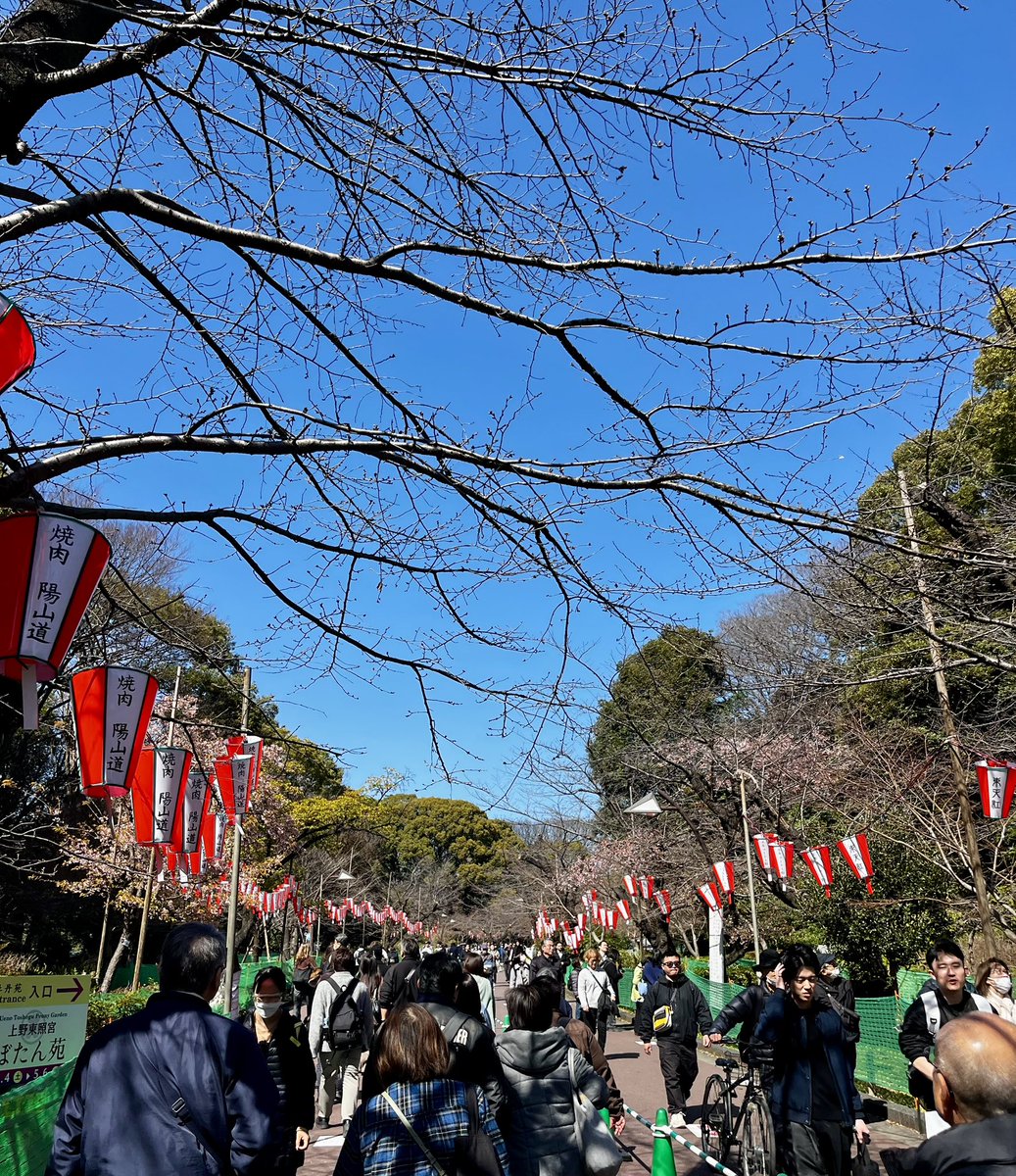 japantotheworld.com tweet media