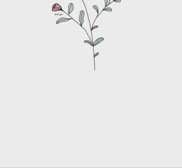 i_kl89's tweet photo. - 🌷

 #رمضان https://t.co/pfvdjt69x0