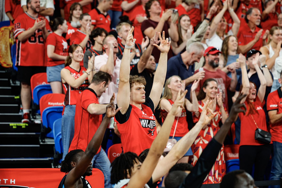 Perth Wildcats tweet media