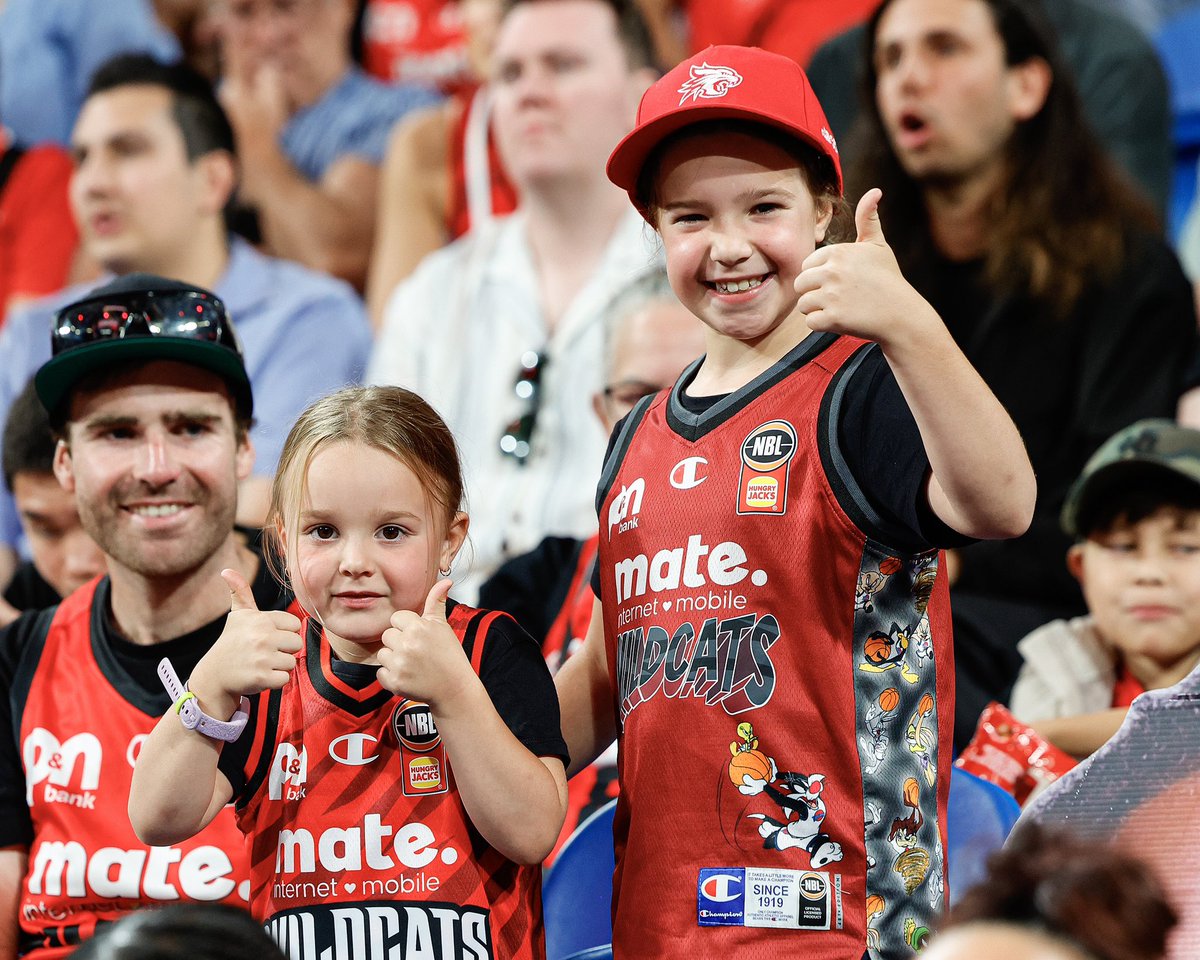 Perth Wildcats tweet media