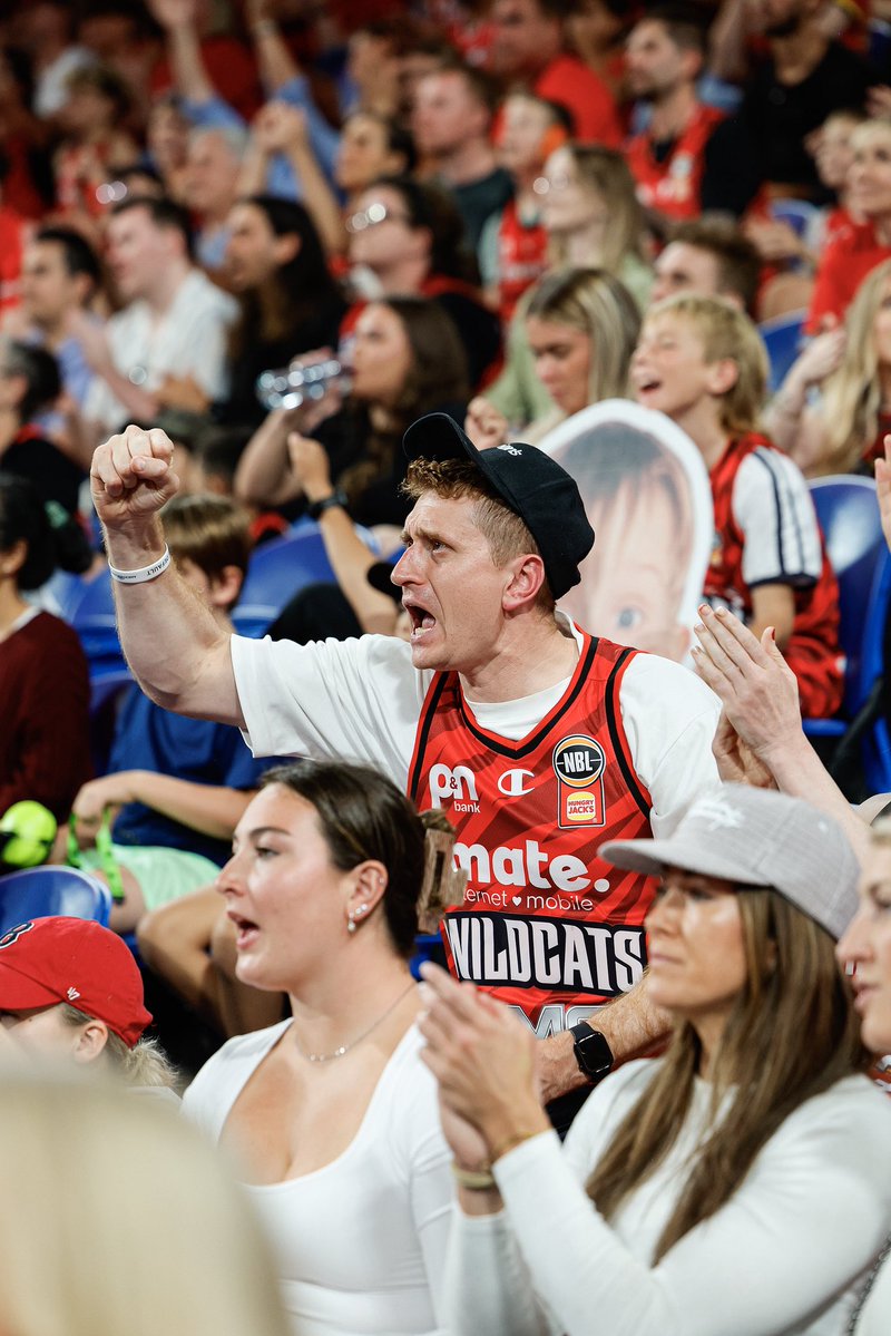 Perth Wildcats tweet media