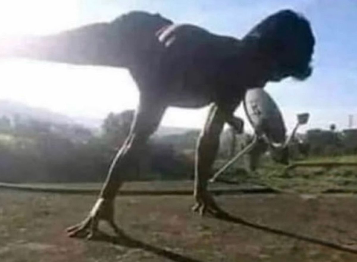 Deuso Grego tweet media