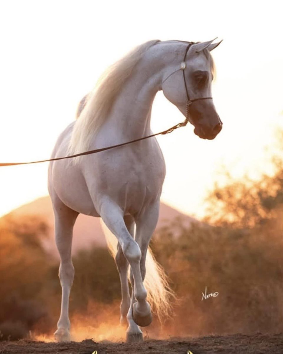 *اللهم اجعلنا ممن عفوت عنهم، ورضيت عليهم، وغفرت لهم،وحرمتهم على النار، وكتبت لهم الجنة.*
*اللهم صل وسلم على نبينا وحبيبنا وقدوتنا وشفيعنا وسيدنا محمد وعلى آله وصحبه وسلم.*
*ربنا اغفر لي ولوالدي وللمؤمنين يوم يقوم الحساب.*