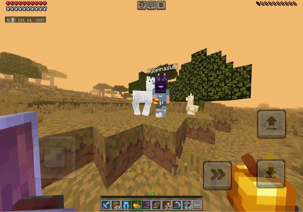 しょっぴぃ tweet media