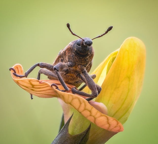 Renee Luzod tweet media