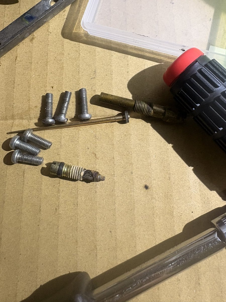 わたぬき tweet media