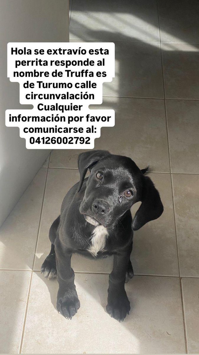 contrapuntovzla's tweet photo. Servicio público https://t.co/pJ4pVpDcLQ