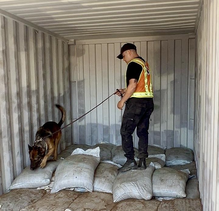 usembassyguate's tweet photo. ¡Aliados clave en la lucha contra el narcotráfico! Conoce a “Riki” y su trayectoria como agente #K9 en distintos operativos, logrando el decomiso de 283 kg de marihuana y 450 kg de cocaína en #Suchitepéquez y #PuertoQuetzal. El apoyo técnico de @StateINL para su entrenamiento e incorporación a la #SGAIA de @PNCdeGuatemala, refuerza la lucha contra el narcotráfico y la seguridad de Estados Unidos, Guatemala y la región.