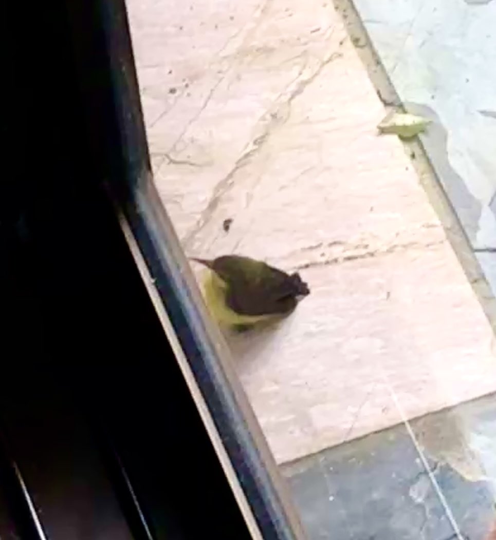 Parminder Singh tweet media