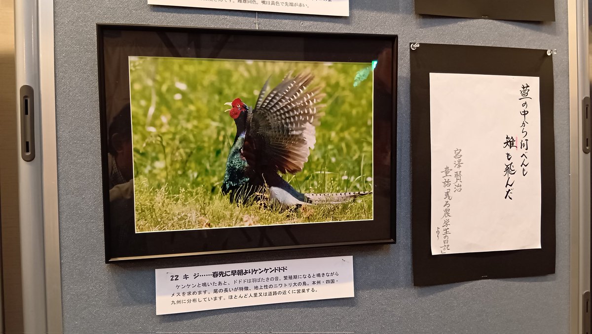 石と賢治のミュージアム(公式) tweet media