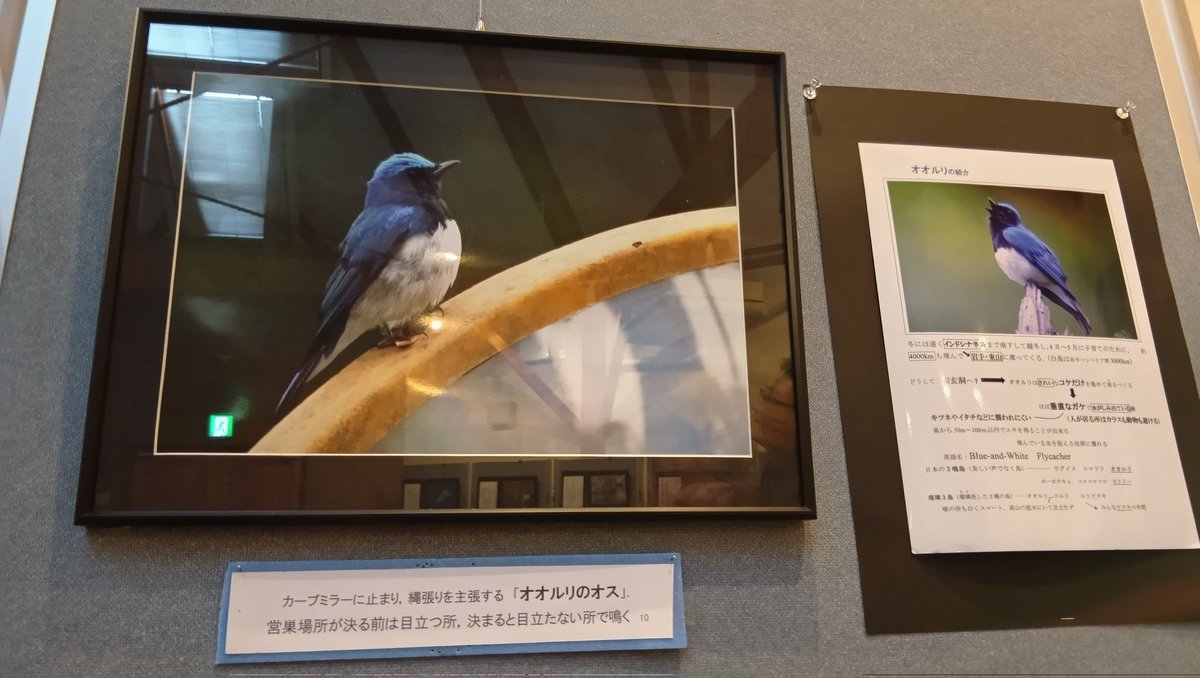 石と賢治のミュージアム(公式) tweet media