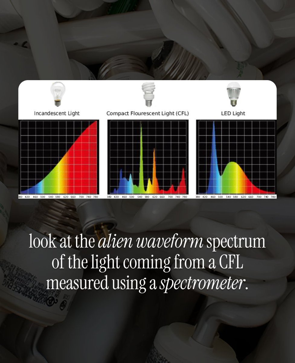 Rusty ⚡️: Solar Powered ☀️ tweet media