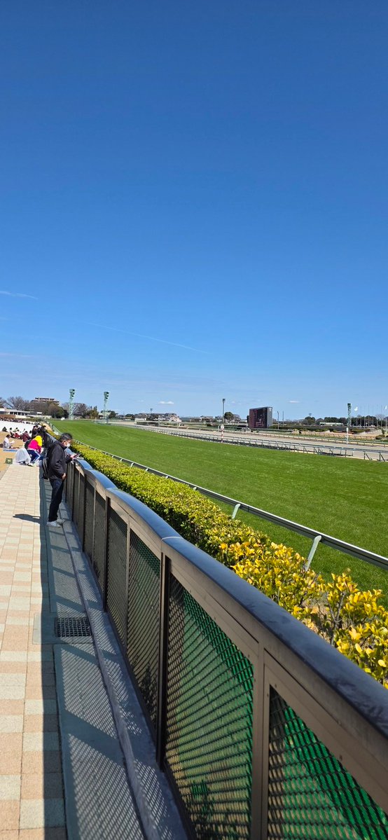 Papa | Manager tweet media