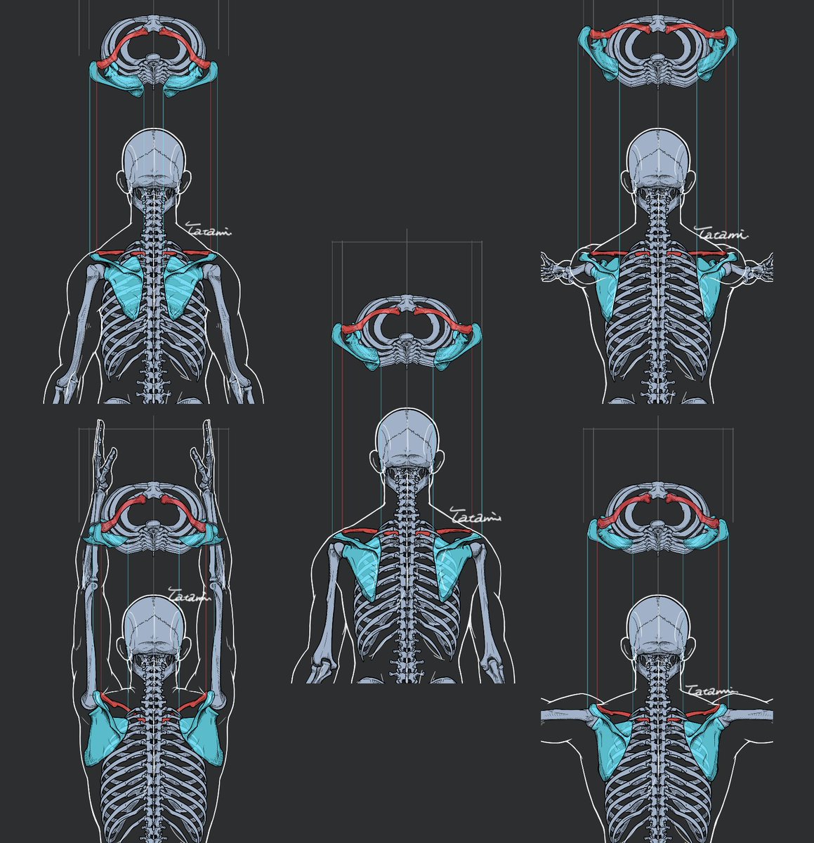 畳@atelier Loop tweet media