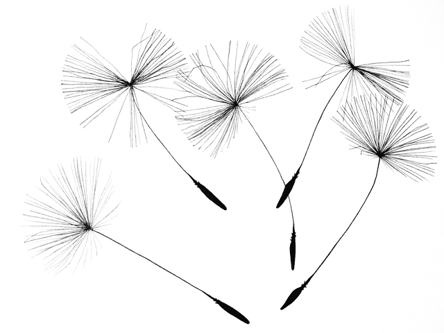 Donna Dunn tweet media