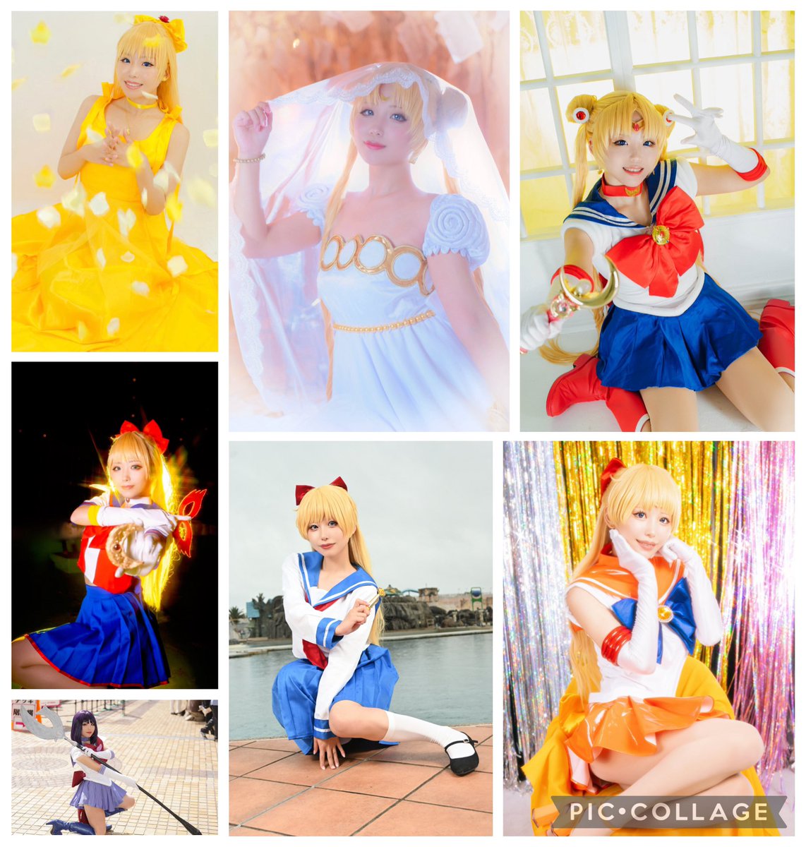 もんぱや@🏷️お迎え中 tweet media