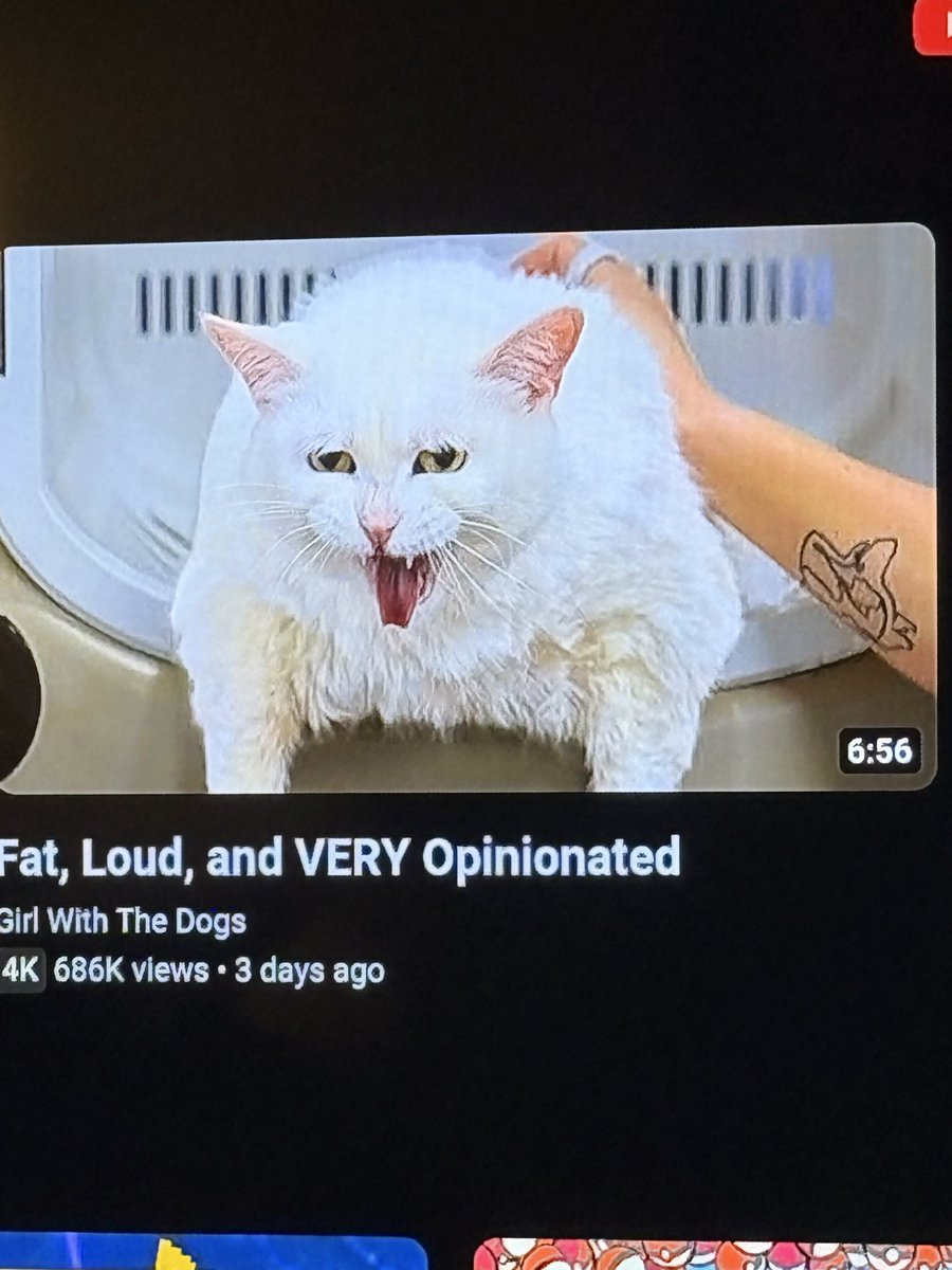 Scuffnfluff's tweet photo. I feel called out https://t.co/txL6zfRAPj