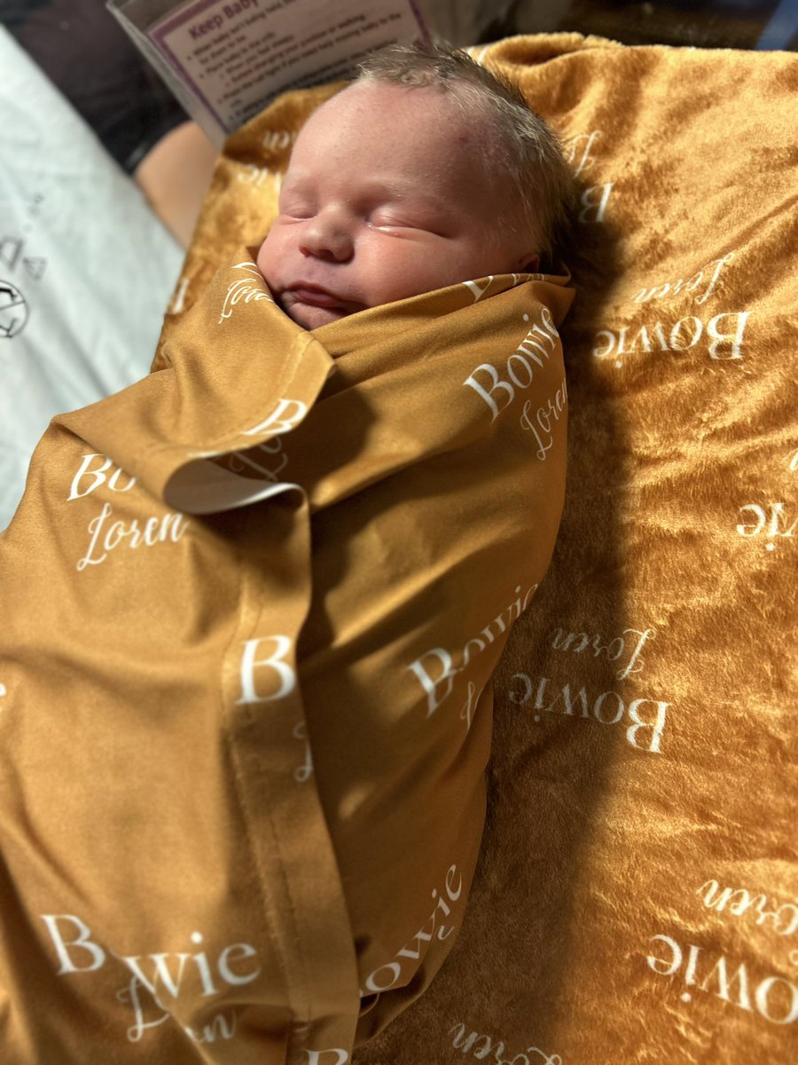 colsoncontent tweet media