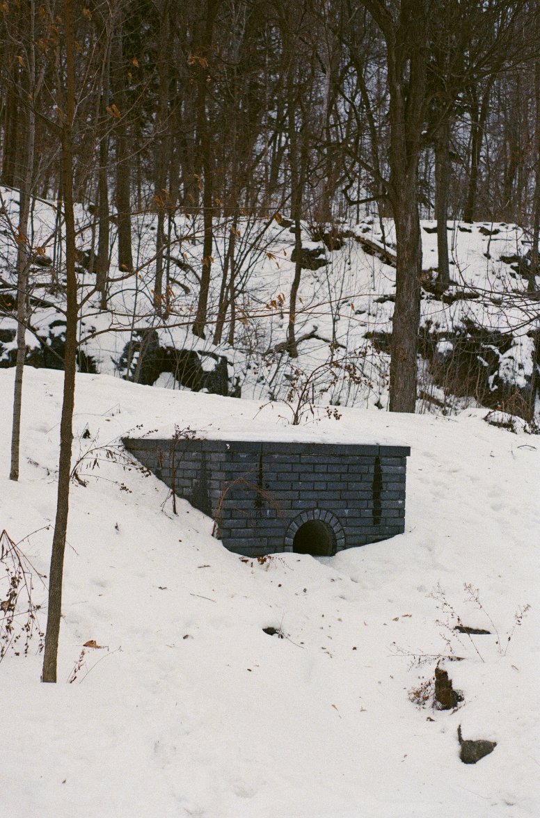 kai s. holmes tweet media