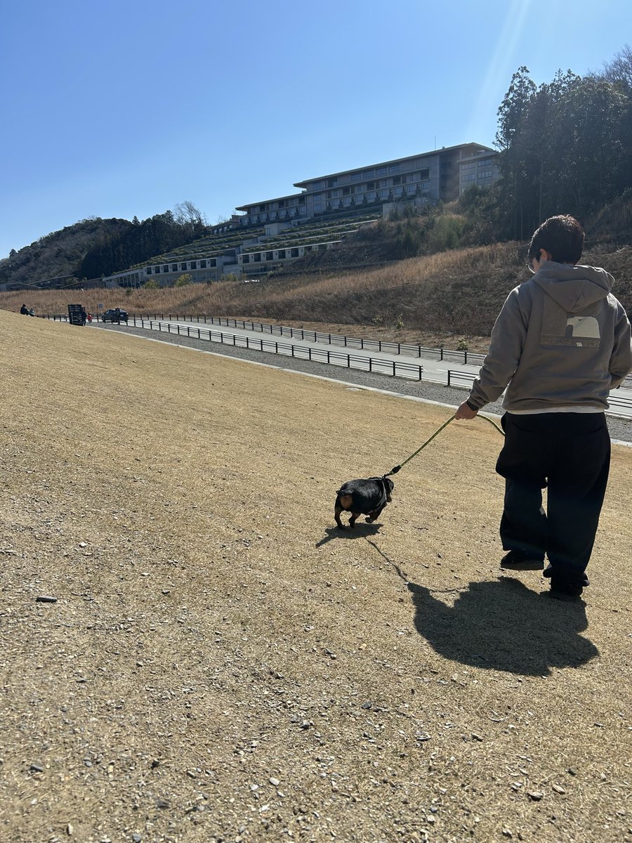 momo_sugi_mori's tweet image. 桃太郎の初VISON🐾

意外と大人しくしてたな！！
飼い主に似て外面はｲｲらしいꉂ🤣𐤔

#VISON
#ミニチュアダックス
#ダックスフンド