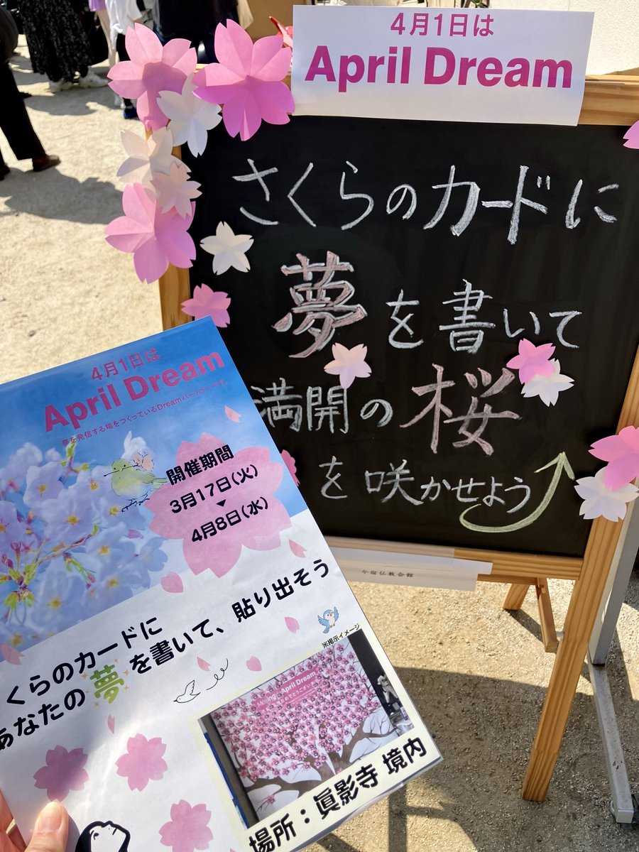 丸花由加里｜PR TIMES tweet media