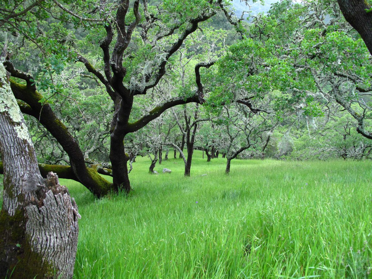 Trust for Public Land tweet media