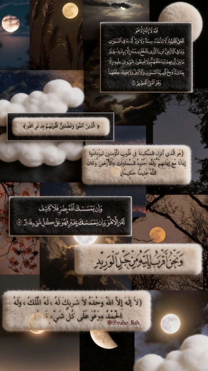 ءلوووءة🤍 tweet media