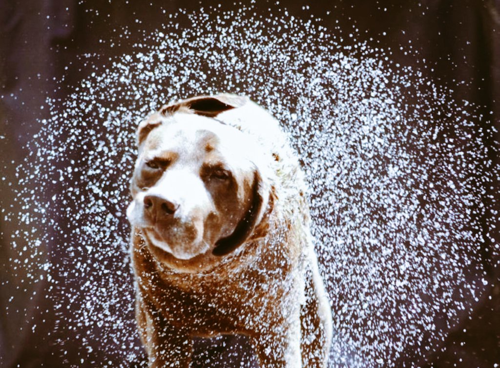 Geethu_Sri tweet media