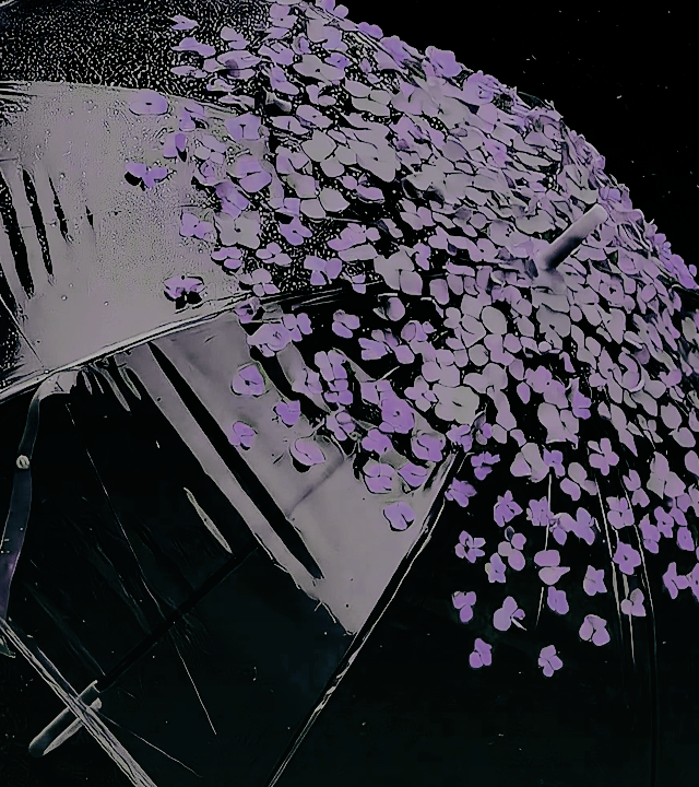 ᅠ𝓙𝗢𝓨𝗢͟𝗨͟𝗦.ᅠ tweet media