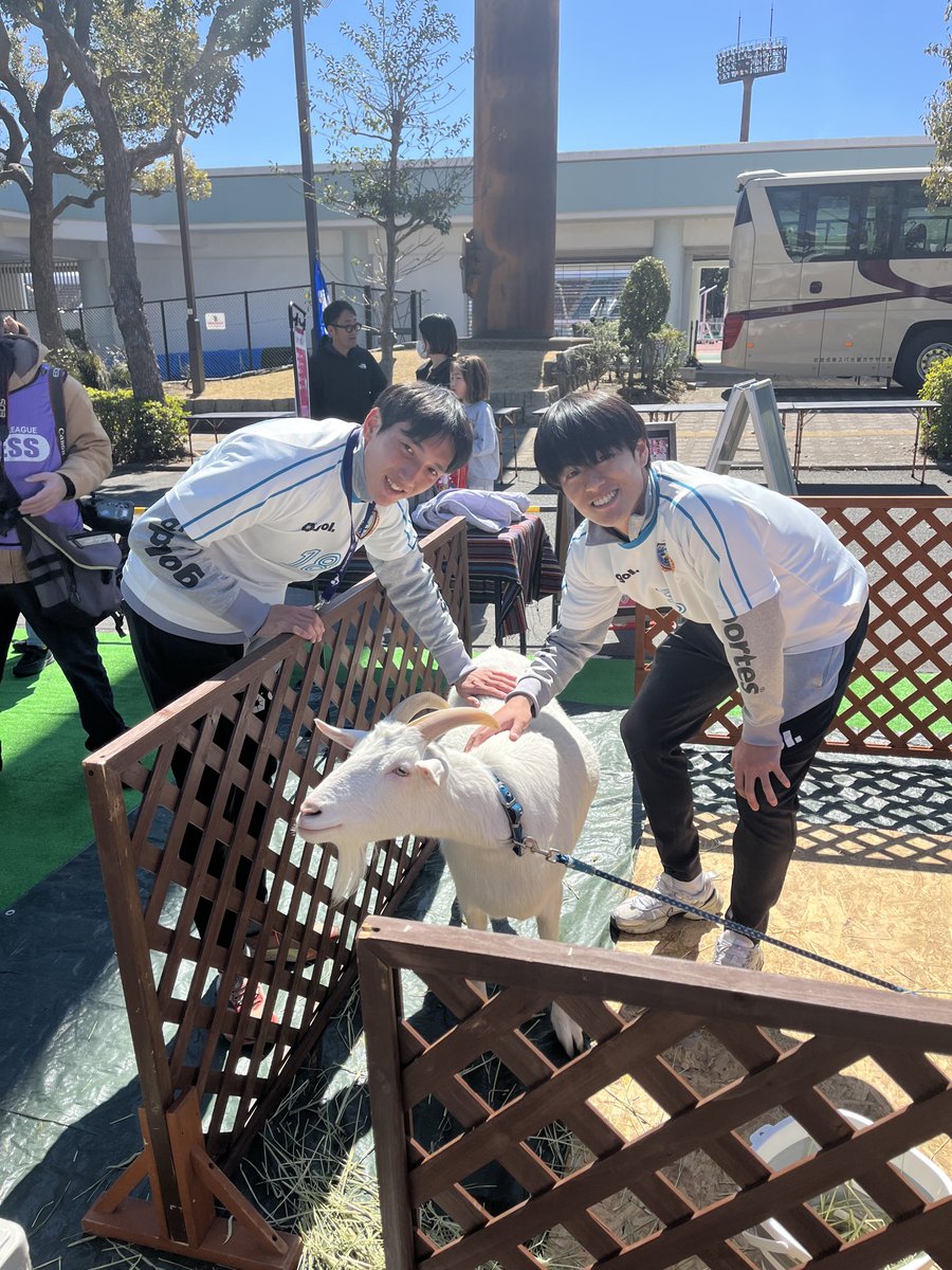 玉城峻吾 /Shungo Tamashiro tweet media