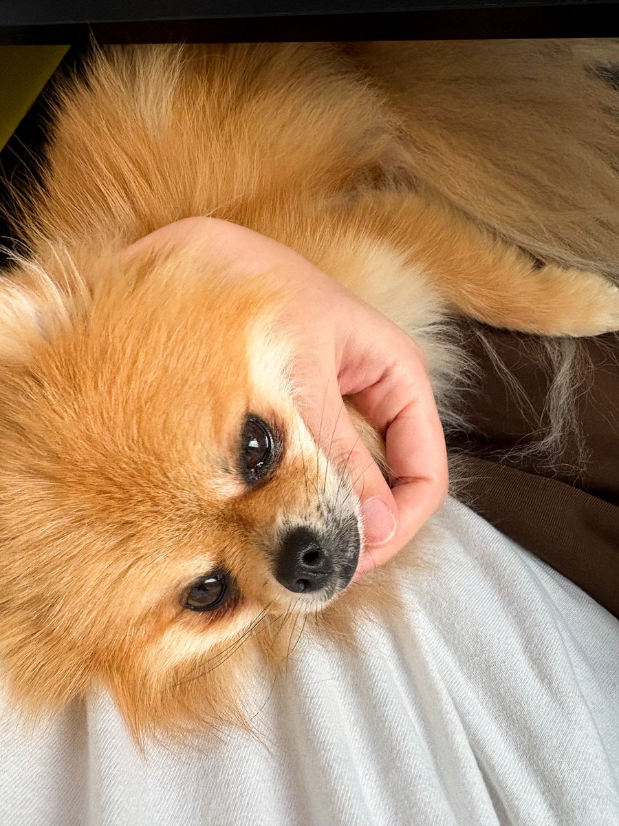 EBIKECHI tweet media