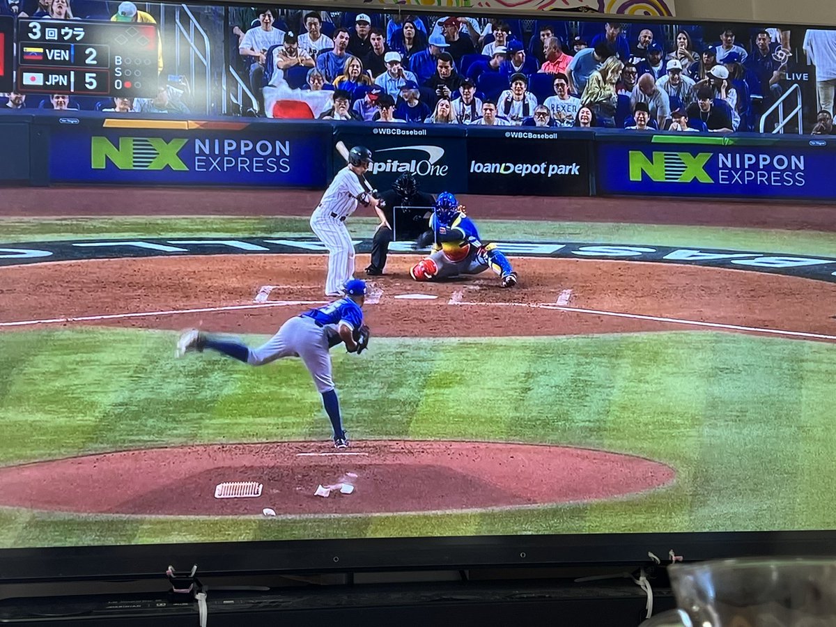 ノボジーン（公式）「ノボちゃん」と呼んでください！ tweet media