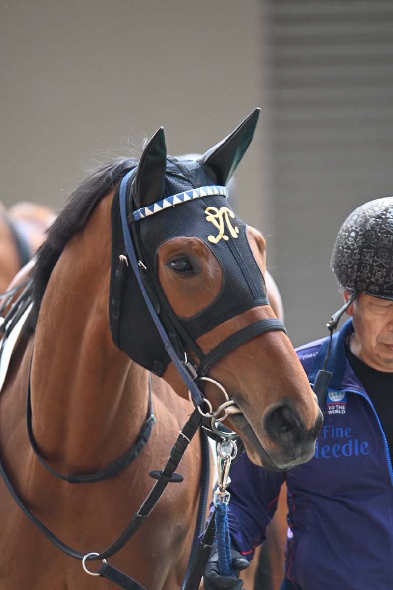 Tomonari Motohashi tweet media