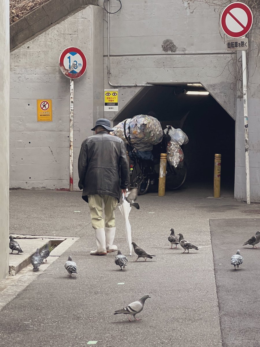 ニュー伊吹 tweet media