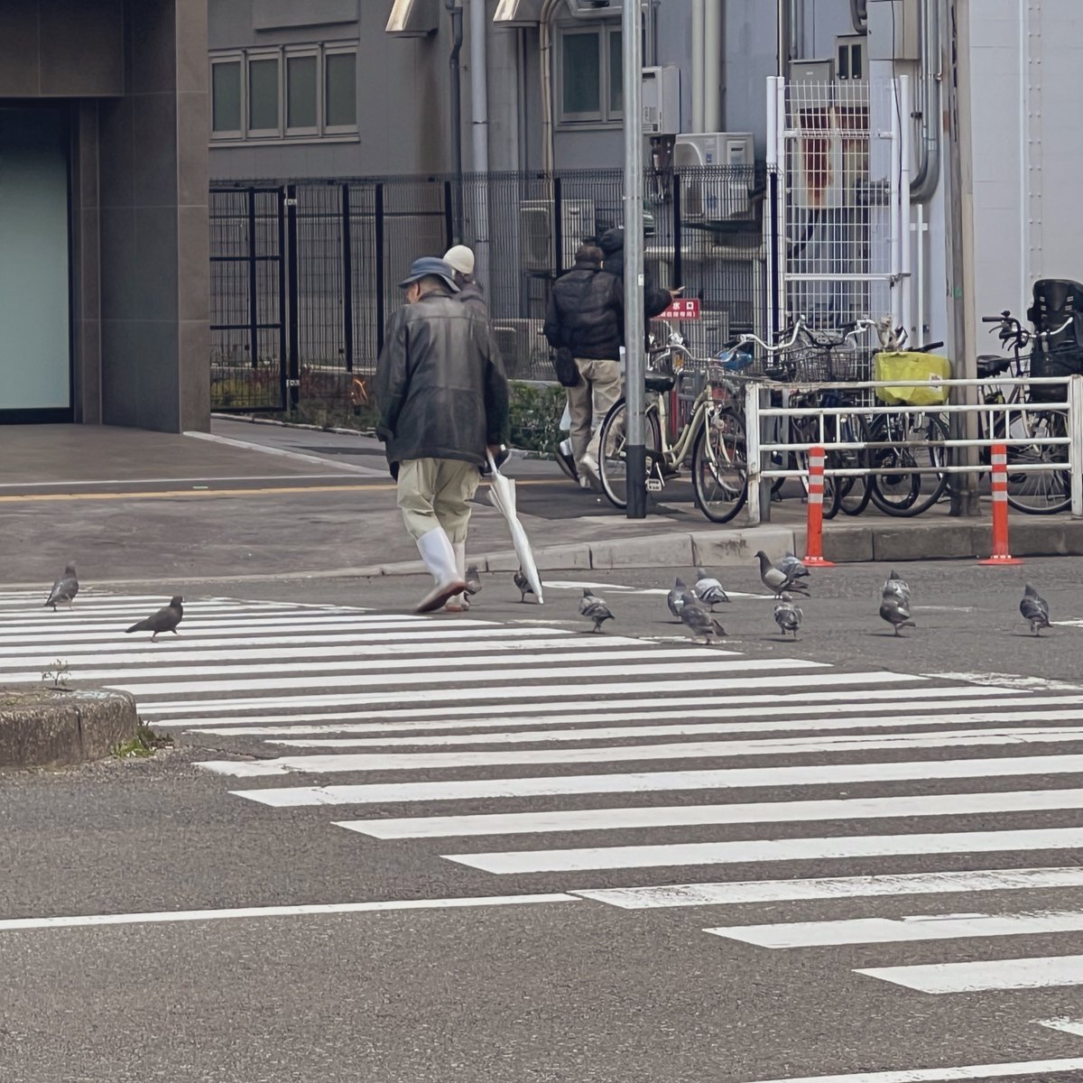 ニュー伊吹 tweet media