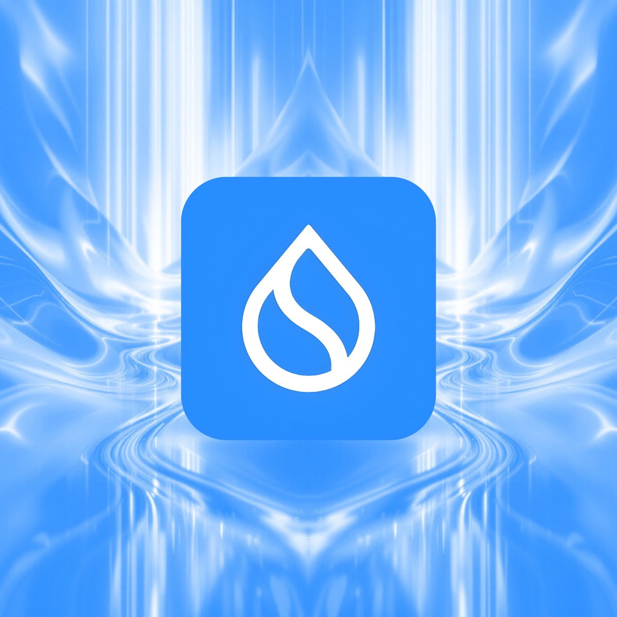 Sui Community💧 tweet media