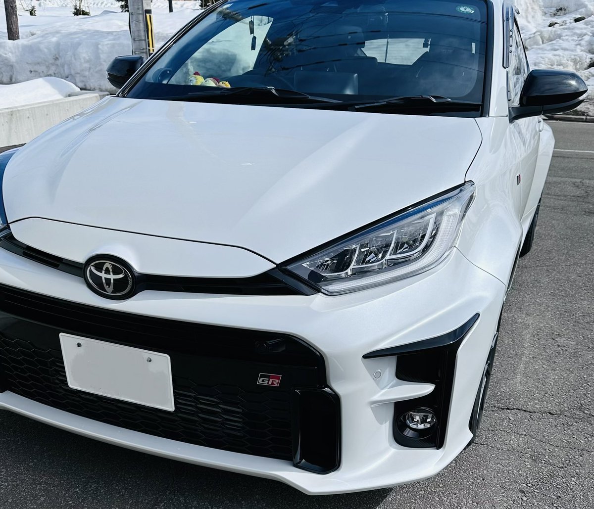 とも/Tomo🌱 tweet media