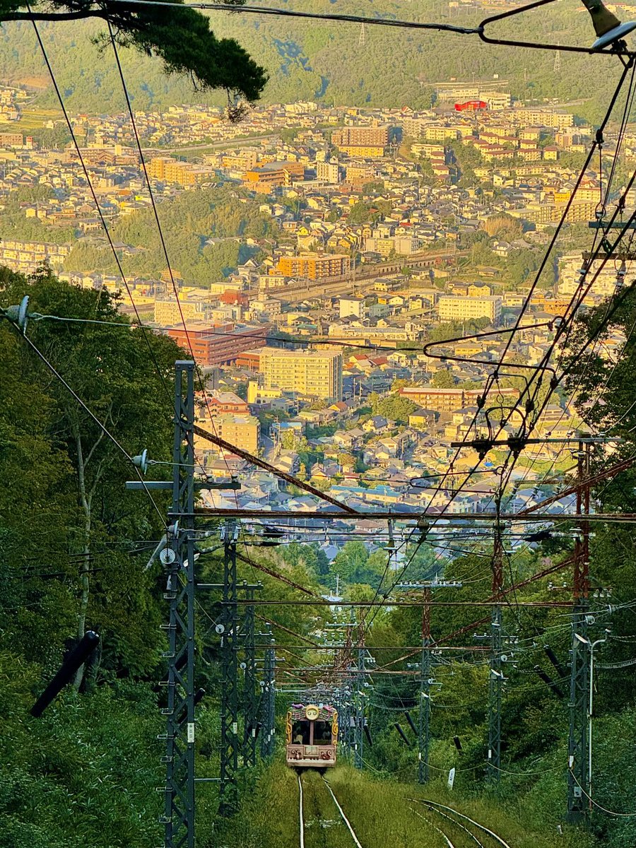 Amy05107863's tweet photo. 緑の山々に向かって走る、眼鏡をかけた可愛いケーブルカー🚃💖
木漏れ日が降り注ぐ線路を登って、町の景色がだんだん広がっていく…🌳🏙️
風の匂いも緑の香りも、全部幸せな気分にさせてくれる🥰
こんな風にゆっくり時間を過ごすの、最高だなぁ…🍃 https://t.co/BVlzzjY86v