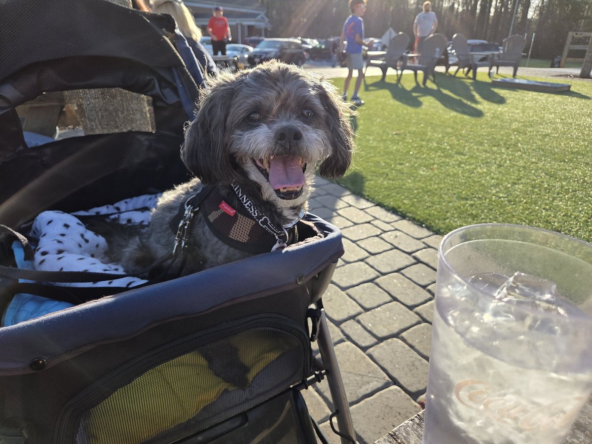 B @ The BBQ Barn tweet media