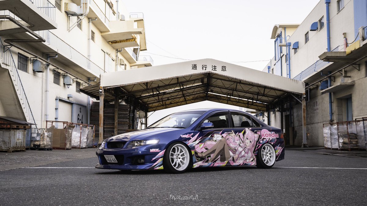 ﾀｳﾗ tweet media